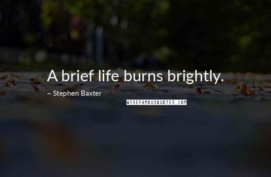 Stephen Baxter Quotes: A brief life burns brightly.