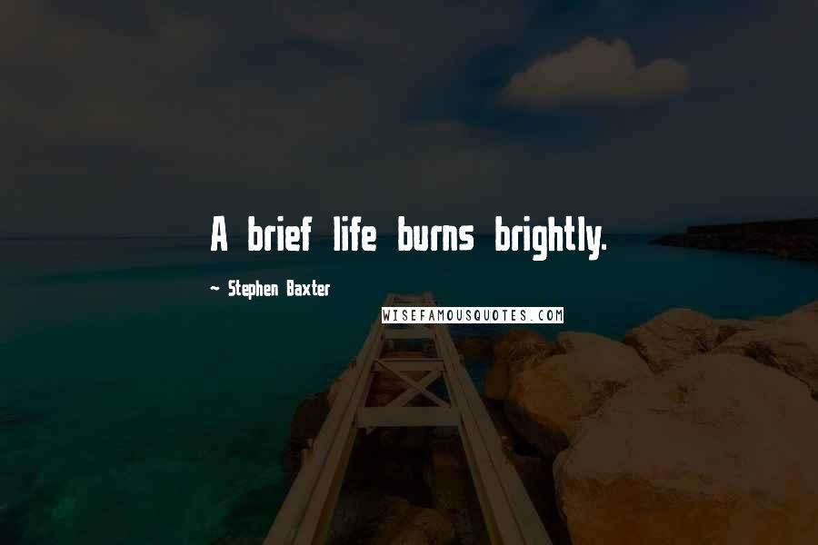 Stephen Baxter Quotes: A brief life burns brightly.