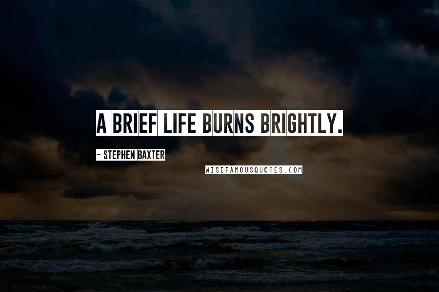 Stephen Baxter Quotes: A brief life burns brightly.