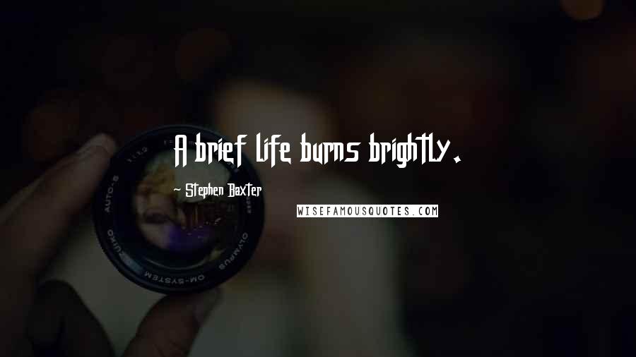 Stephen Baxter Quotes: A brief life burns brightly.