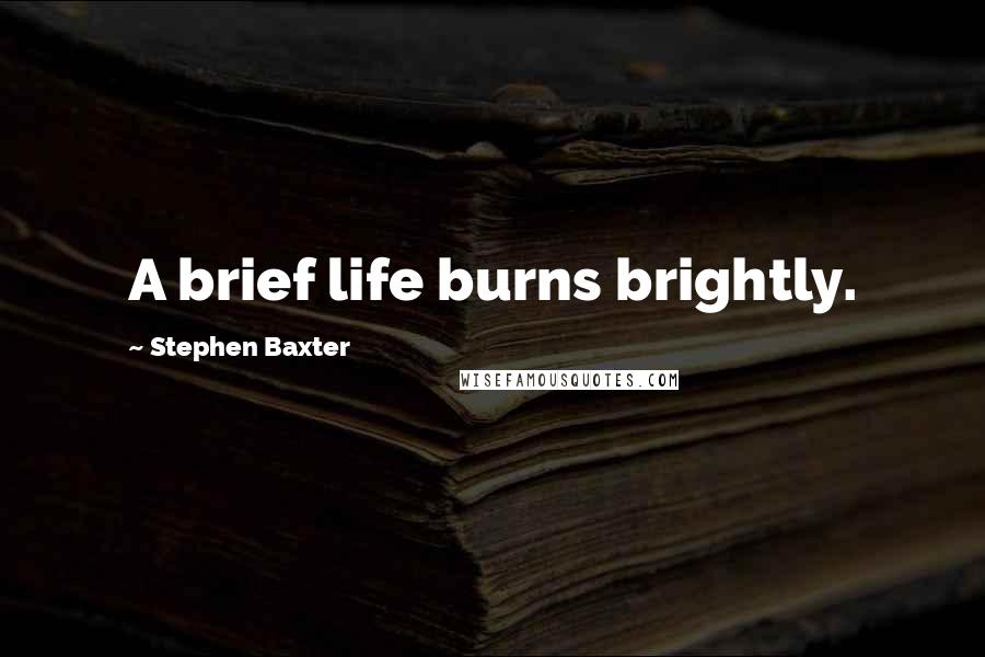 Stephen Baxter Quotes: A brief life burns brightly.