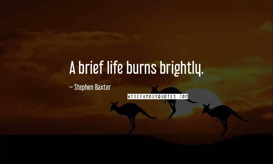 Stephen Baxter Quotes: A brief life burns brightly.