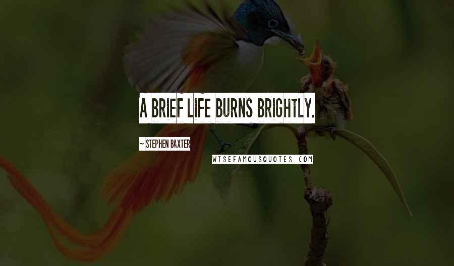 Stephen Baxter Quotes: A brief life burns brightly.