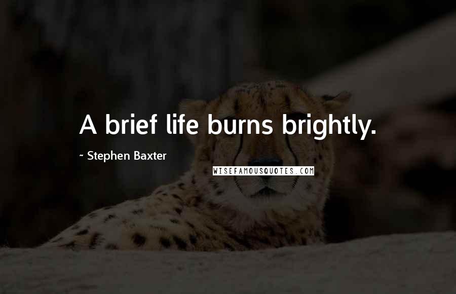 Stephen Baxter Quotes: A brief life burns brightly.