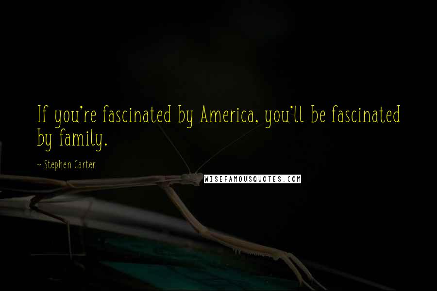 Stephen Carter Quotes: If you're fascinated by America, you'll be fascinated by family.