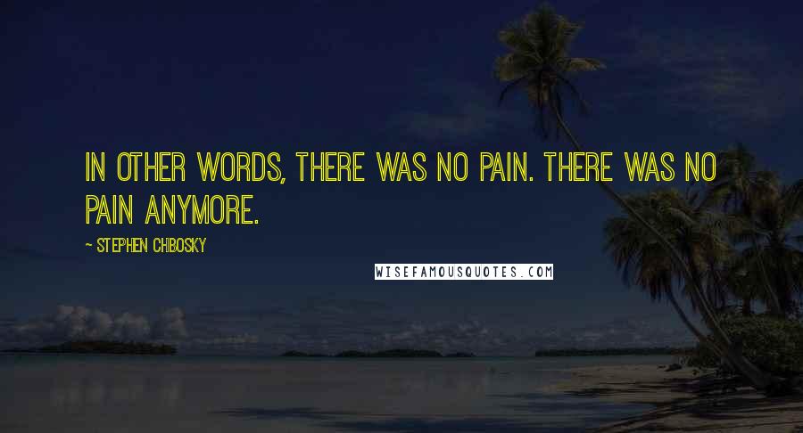 Stephen Chbosky Quotes: In other words, there was no pain. There was no pain anymore.