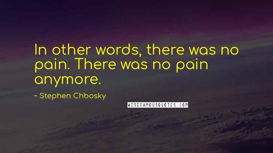 Stephen Chbosky Quotes: In other words, there was no pain. There was no pain anymore.