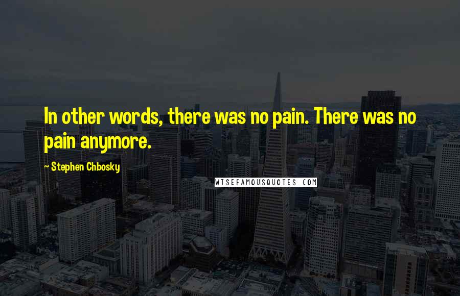 Stephen Chbosky Quotes: In other words, there was no pain. There was no pain anymore.