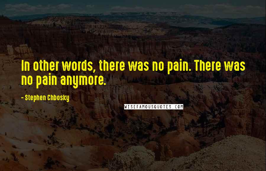 Stephen Chbosky Quotes: In other words, there was no pain. There was no pain anymore.