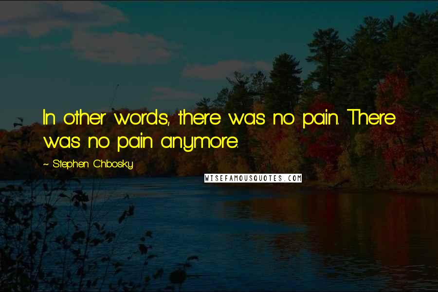 Stephen Chbosky Quotes: In other words, there was no pain. There was no pain anymore.