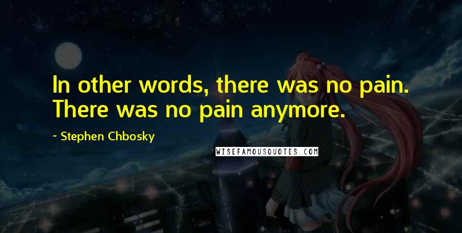 Stephen Chbosky Quotes: In other words, there was no pain. There was no pain anymore.