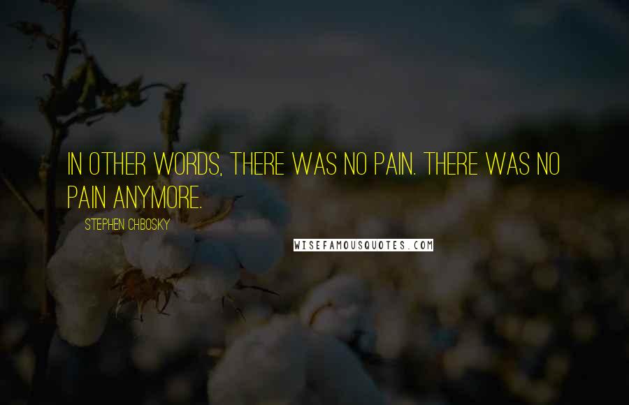 Stephen Chbosky Quotes: In other words, there was no pain. There was no pain anymore.