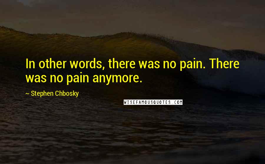 Stephen Chbosky Quotes: In other words, there was no pain. There was no pain anymore.