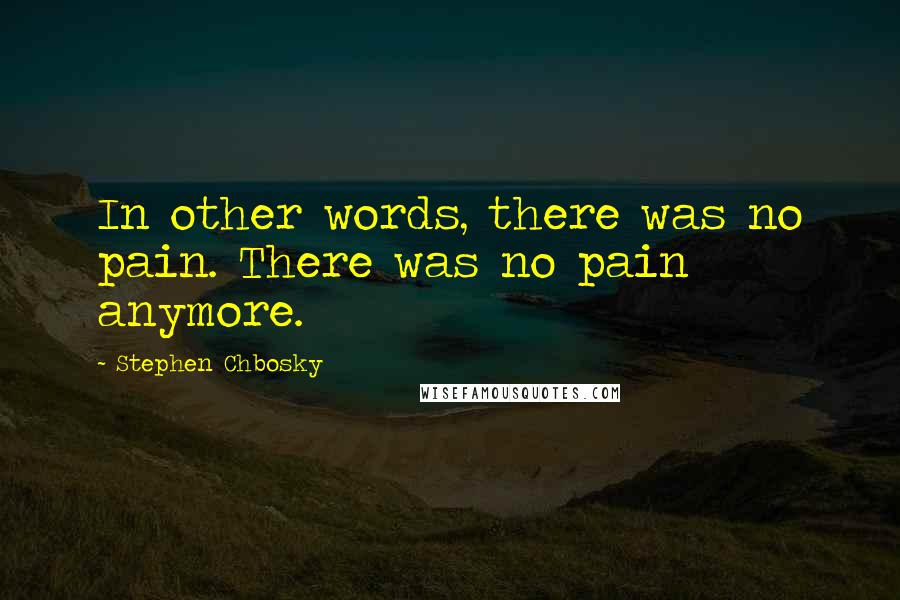 Stephen Chbosky Quotes: In other words, there was no pain. There was no pain anymore.