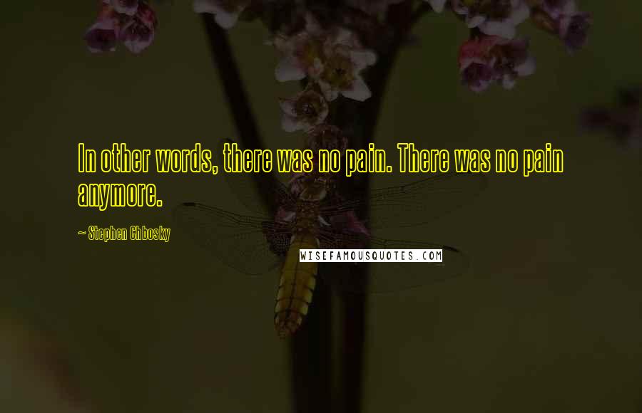 Stephen Chbosky Quotes: In other words, there was no pain. There was no pain anymore.