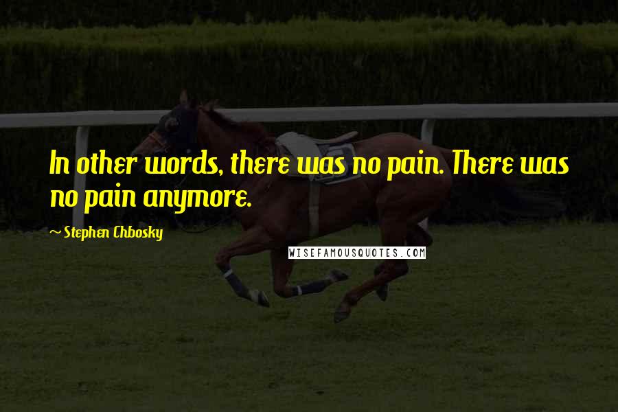 Stephen Chbosky Quotes: In other words, there was no pain. There was no pain anymore.