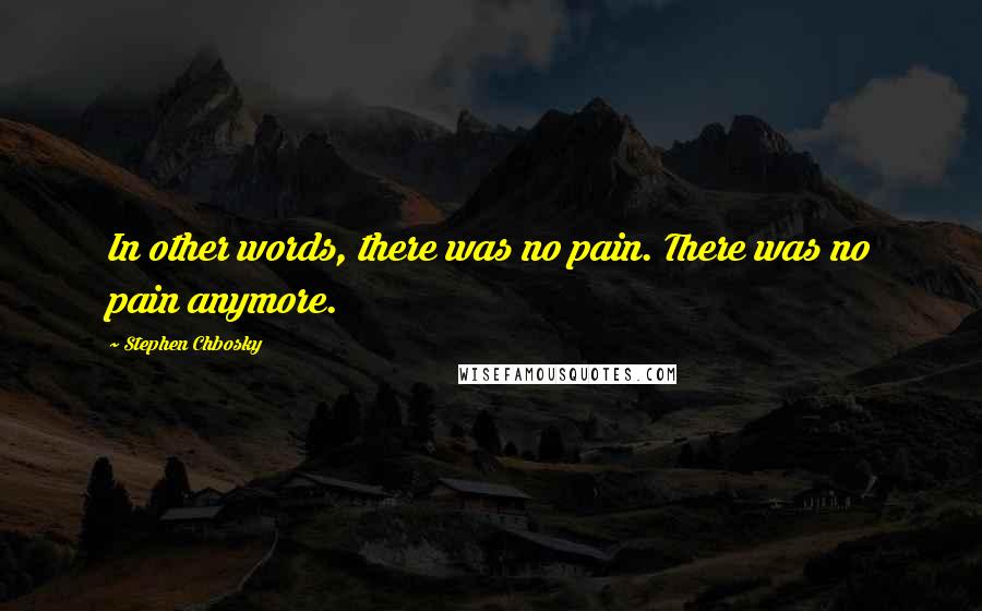 Stephen Chbosky Quotes: In other words, there was no pain. There was no pain anymore.