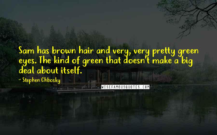 Stephen Chbosky Quotes: Sam has brown hair and very, very pretty green eyes. The kind of green that doesn't make a big deal about itself.