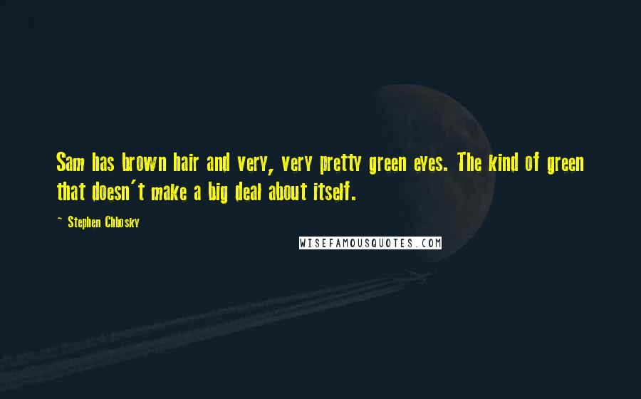 Stephen Chbosky Quotes: Sam has brown hair and very, very pretty green eyes. The kind of green that doesn't make a big deal about itself.