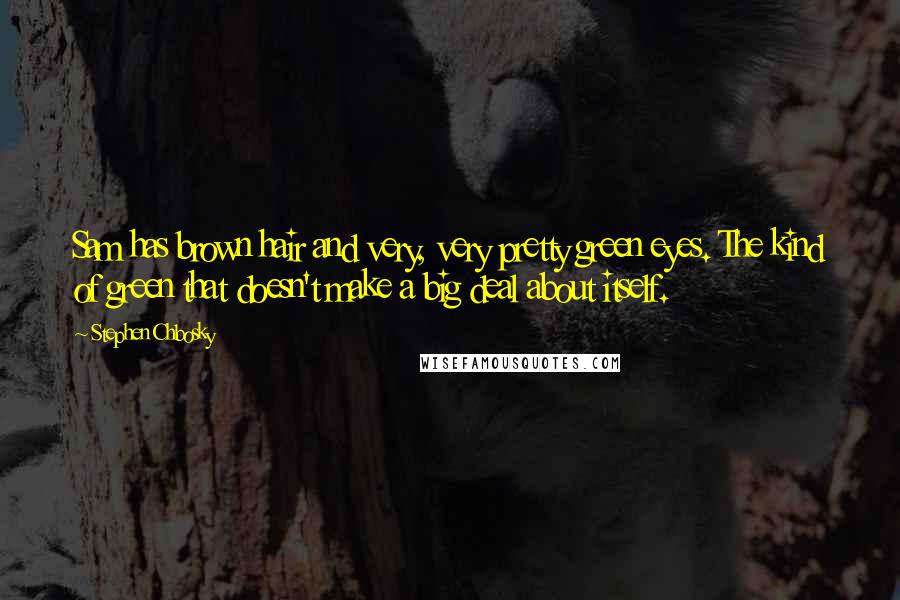 Stephen Chbosky Quotes: Sam has brown hair and very, very pretty green eyes. The kind of green that doesn't make a big deal about itself.