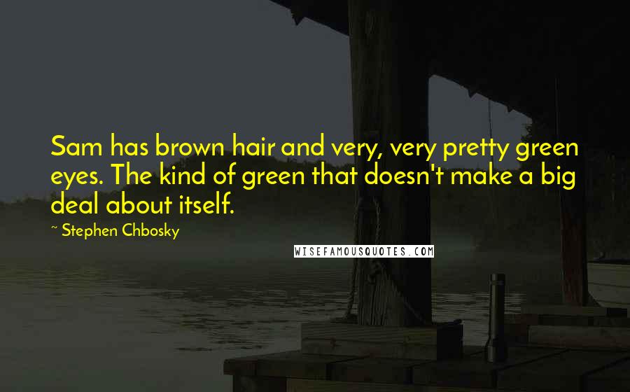 Stephen Chbosky Quotes: Sam has brown hair and very, very pretty green eyes. The kind of green that doesn't make a big deal about itself.