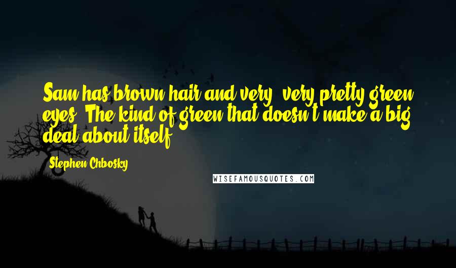 Stephen Chbosky Quotes: Sam has brown hair and very, very pretty green eyes. The kind of green that doesn't make a big deal about itself.