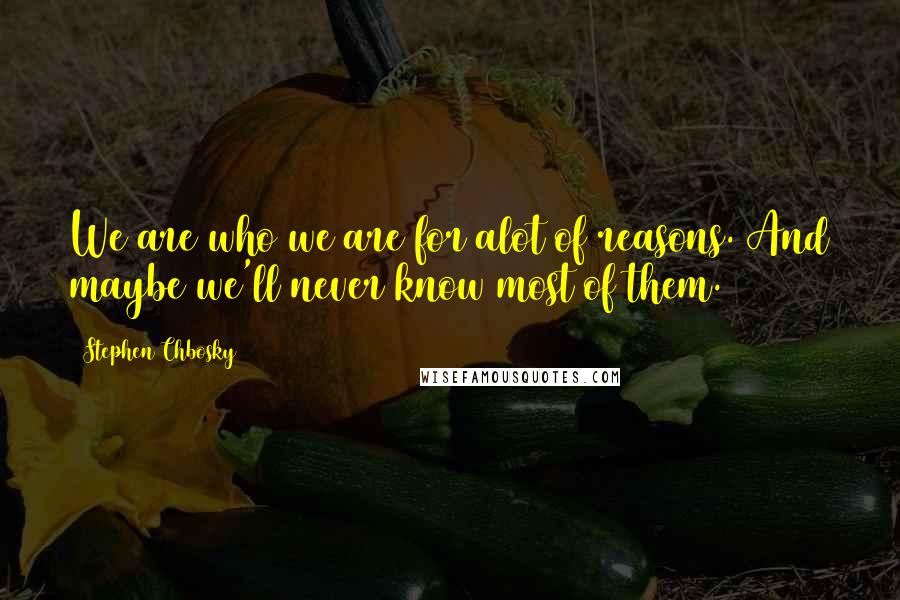Stephen Chbosky Quotes: We are who we are for alot of reasons. And maybe we'll never know most of them.