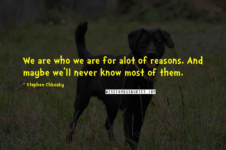 Stephen Chbosky Quotes: We are who we are for alot of reasons. And maybe we'll never know most of them.