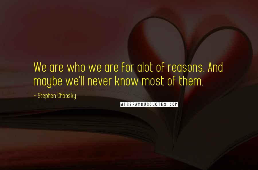 Stephen Chbosky Quotes: We are who we are for alot of reasons. And maybe we'll never know most of them.