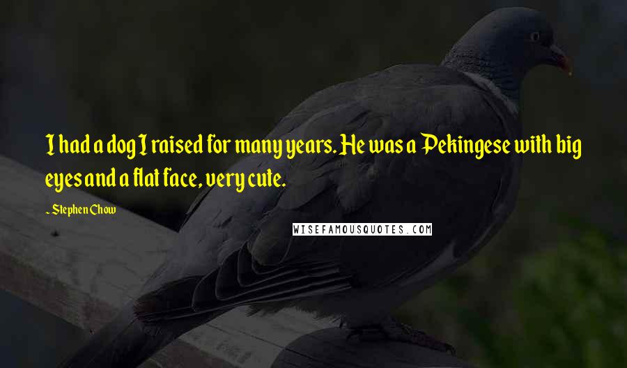 Stephen Chow Quotes: I had a dog I raised for many years. He was a Pekingese with big eyes and a flat face, very cute.