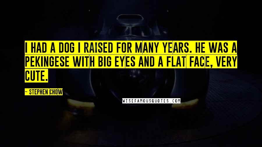 Stephen Chow Quotes: I had a dog I raised for many years. He was a Pekingese with big eyes and a flat face, very cute.