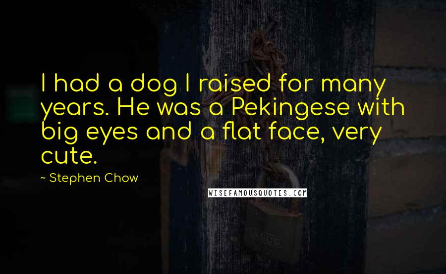 Stephen Chow Quotes: I had a dog I raised for many years. He was a Pekingese with big eyes and a flat face, very cute.