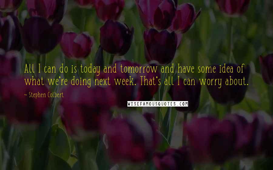 Stephen Colbert Quotes: All I can do is today and tomorrow and have some idea of what we're doing next week. That's all I can worry about.
