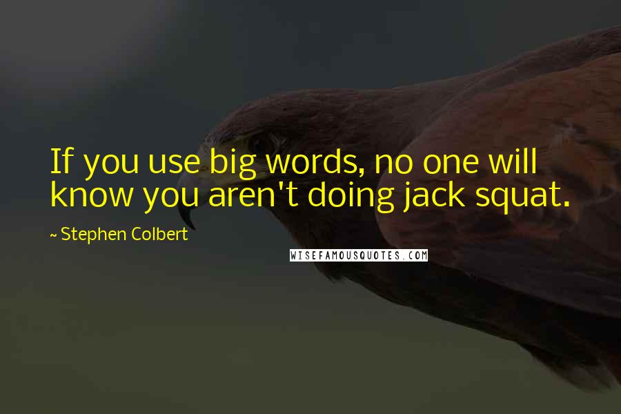 Stephen Colbert Quotes: If you use big words, no one will know you aren't doing jack squat.