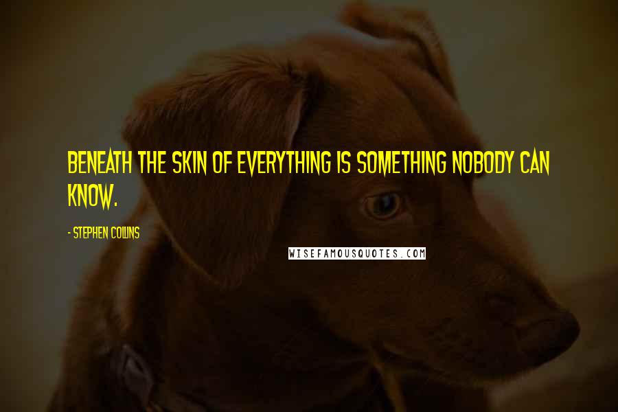Stephen Collins Quotes: Beneath the skin of everything is something nobody can know.