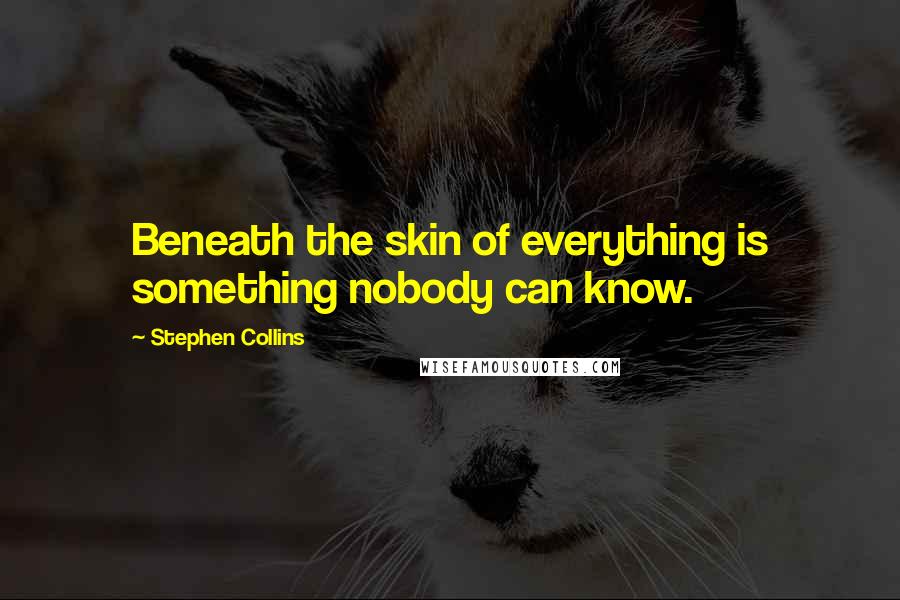 Stephen Collins Quotes: Beneath the skin of everything is something nobody can know.