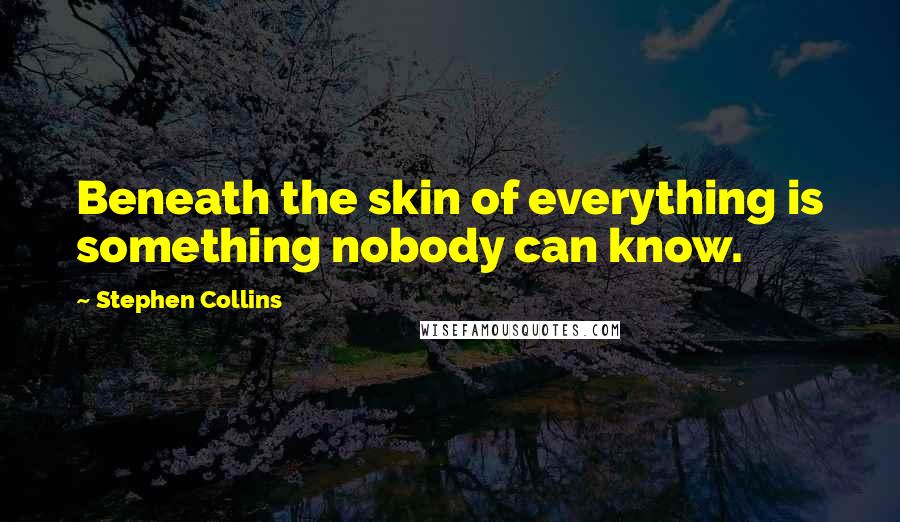 Stephen Collins Quotes: Beneath the skin of everything is something nobody can know.