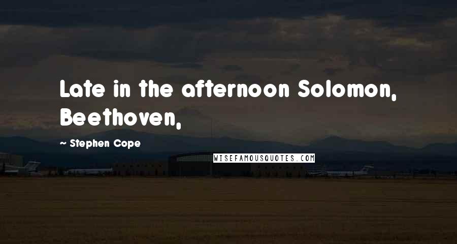 Stephen Cope Quotes: Late in the afternoon Solomon, Beethoven,