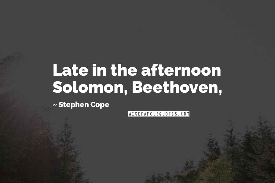 Stephen Cope Quotes: Late in the afternoon Solomon, Beethoven,