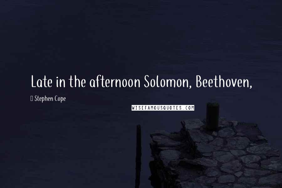 Stephen Cope Quotes: Late in the afternoon Solomon, Beethoven,