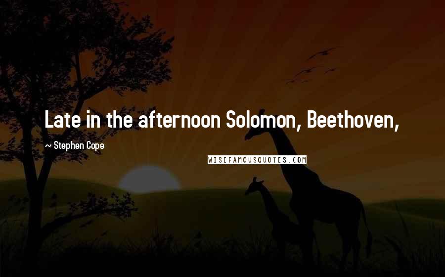 Stephen Cope Quotes: Late in the afternoon Solomon, Beethoven,