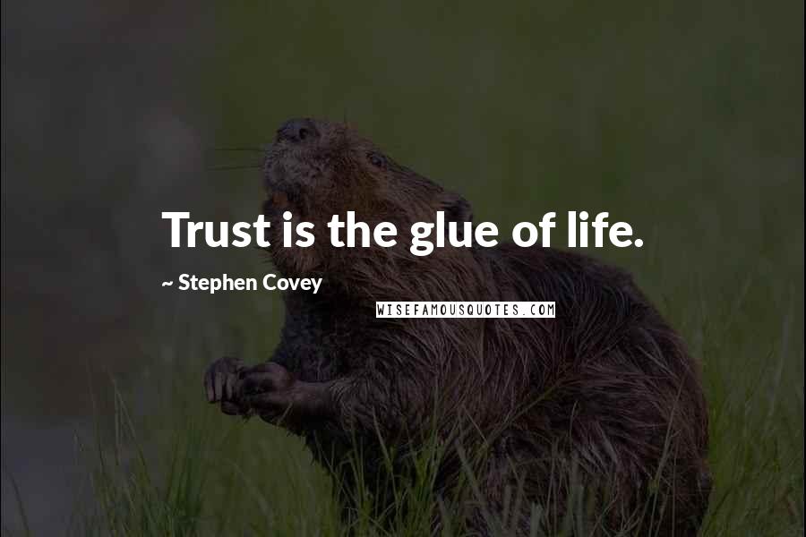 Stephen Covey Quotes: Trust is the glue of life.