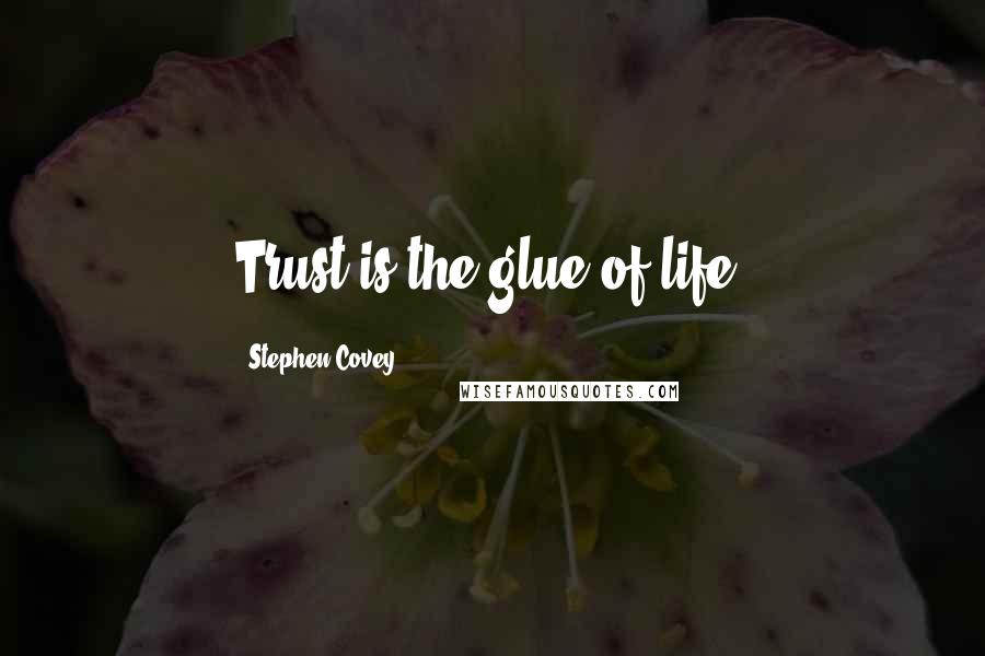 Stephen Covey Quotes: Trust is the glue of life.