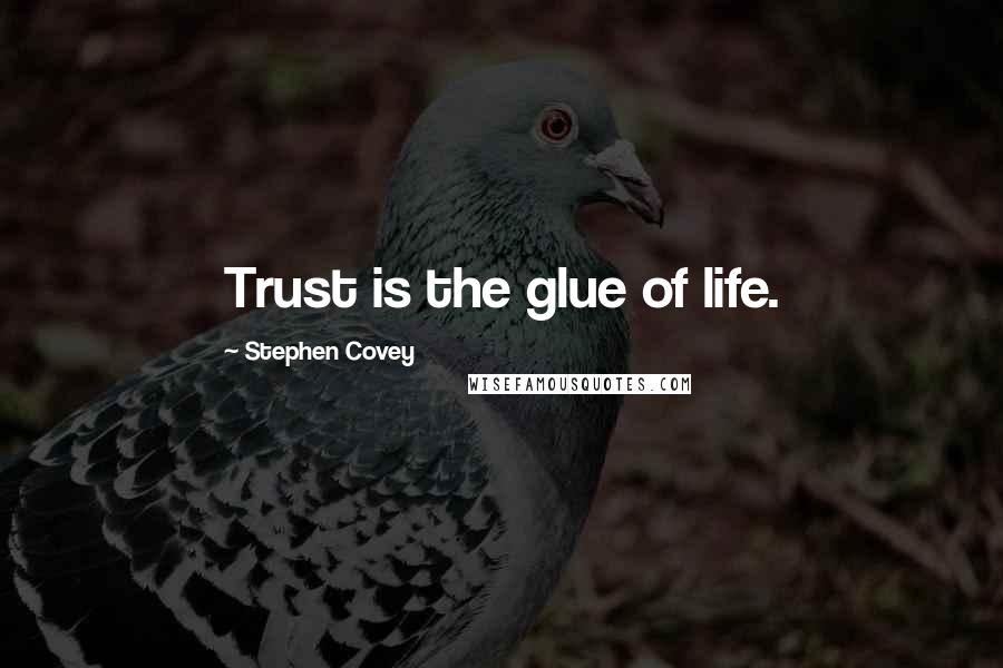 Stephen Covey Quotes: Trust is the glue of life.