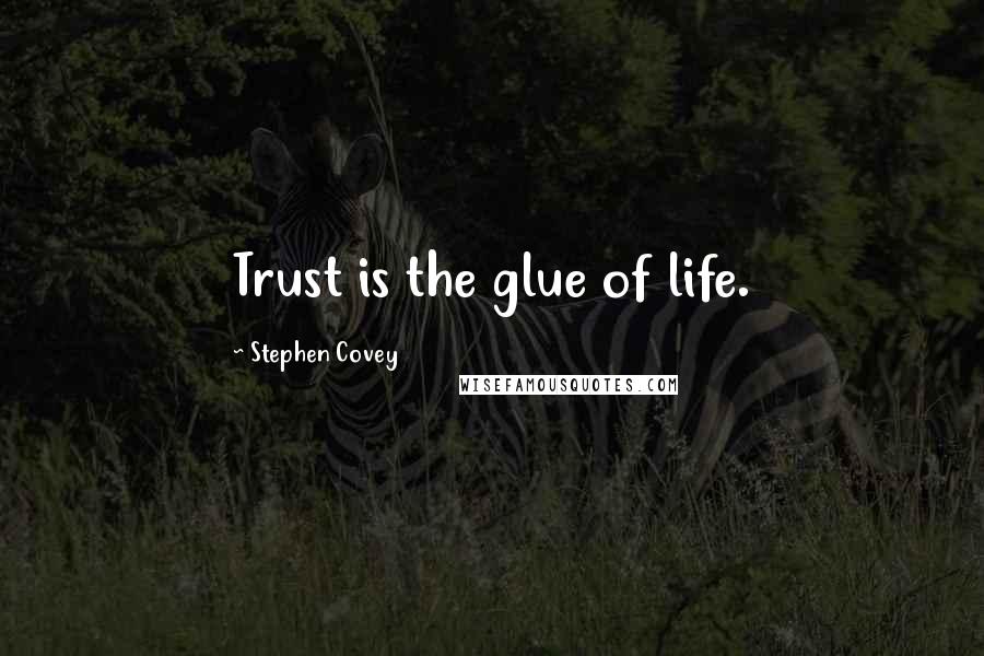 Stephen Covey Quotes: Trust is the glue of life.