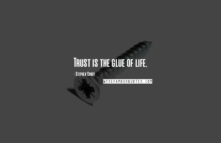 Stephen Covey Quotes: Trust is the glue of life.