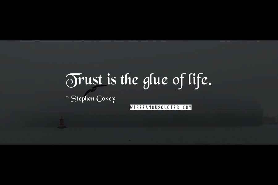 Stephen Covey Quotes: Trust is the glue of life.