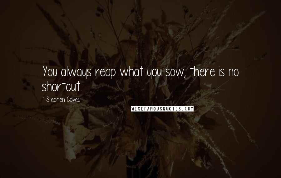 Stephen Covey Quotes: You always reap what you sow; there is no shortcut.