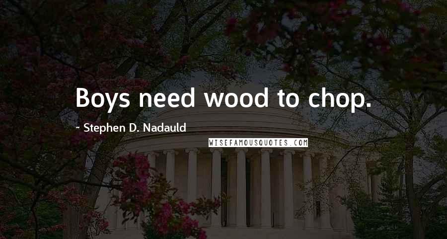 Stephen D. Nadauld Quotes: Boys need wood to chop.