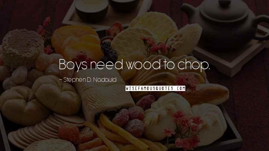 Stephen D. Nadauld Quotes: Boys need wood to chop.